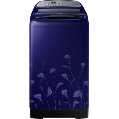 Samsung 6.5 kg Fully Automatic Top Load Washing Machine (WA65H4020HL)