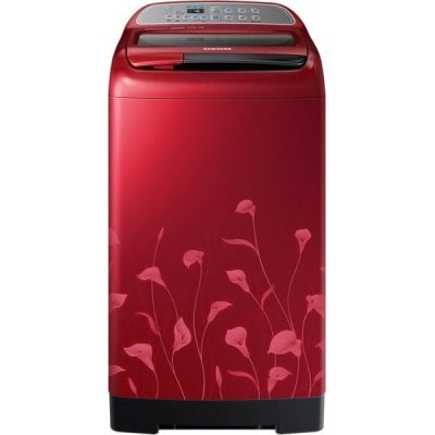Samsung 6.5 kg Fully Automatic Top Load Washing Machine (WA65H4020HP)