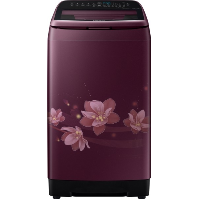 Samsung 6.5 kg Fully Automatic Top Load Washing Machine (WA65N4570FM)